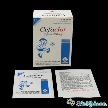 Cefaclor 250mg (thuốc cốm) và một số thông tin thuốc cơ bản nên biết