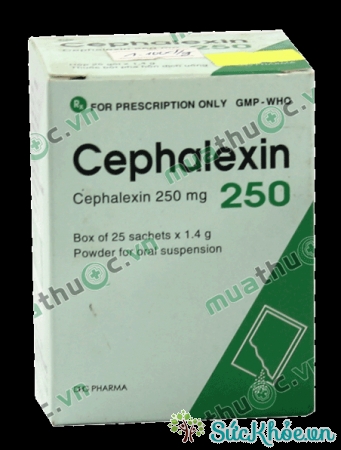 Cephalexin 250mg (thuốc cốm - công ty dược Minh Hải) và thông tin thuốc