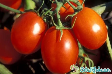 Chất lycopene trong cà chua giúp bạn chống oxy hóa và có một tuyến tiền liệt khỏe mạnh