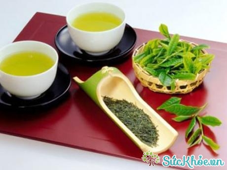 Ba tách trà xanh mỗi ngày có thể tăng cường sự trao đổi chất