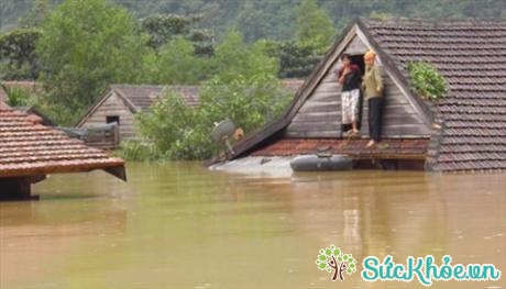 Ở những nơi lũ lụt nghiêm trọng thì việc thiếu lương thực, thực phẩm rất dễ xảy ra