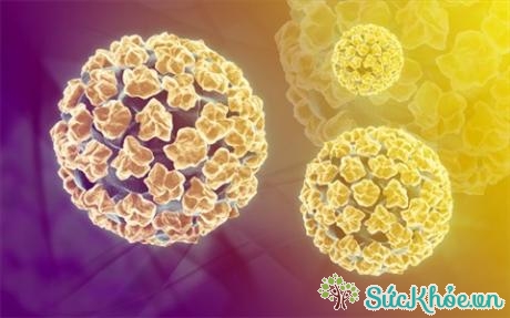 Vi-rút HPV qua kính hiển vi