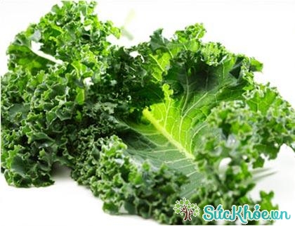 Các loại rau lá xanh đậm, đặc biệt là rau chân vịt và cải xoăn, thực sự rất tốt cho bạn trong thời kỳ nguyệt san