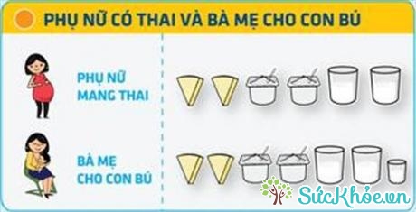 Lượng dùng sữa, sữa chua và phô mai cho phụ nữ có thai và bà mẹ cho con bú