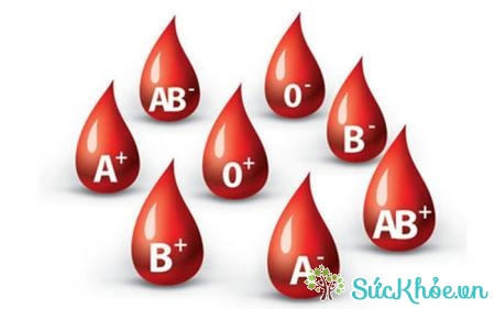Nhom máu B là nhóm máu khá hiếm