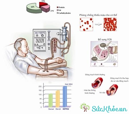 Cần có chế độ dinh dưỡng đặc biệt cho người lọc máu ngoài thận