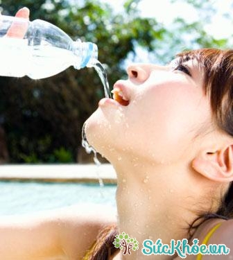 Hầu hết mọi người đều biết nên uống khoảng 8 cốc nước mỗi ngày