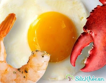 Tôm - cua - trứng là những loại thức ăn dễ khiến rối loạn chuyển hóa lipid.
