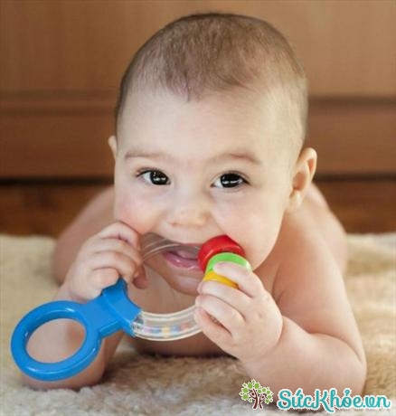 Miếng gặm nướu (miếng cắn răng) là đồ dùng phổ biến được bố mẹ cho bé sử dụng, nhất là trong giai đoạn bé mọc răng