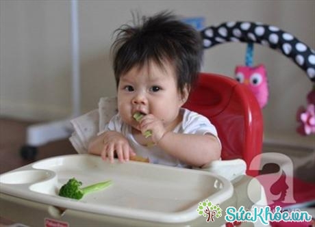 Em bé đang hào hứng khám phá món bông cải xanh hấp. 