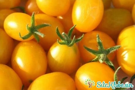 Cà chua vàng chứa nhiều lượng sắt hơn