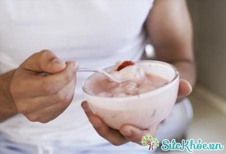 Probiotic trong sữa chua có thể giúp ngăn ngừa hoặc điều trị bệnh trĩ