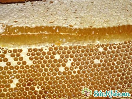 Sáp ong trị viêm loét dạ dày