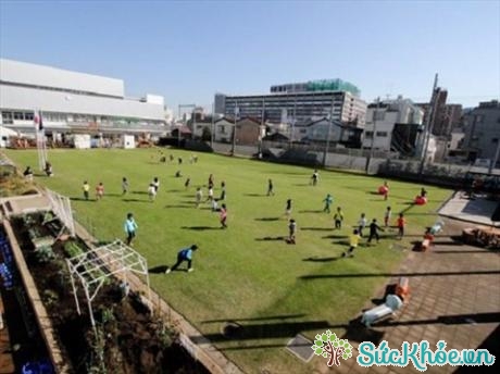 Ở trường mầm non Nhật Bản, trẻ đến trường chỉ để vui chơi