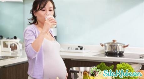 Khi mang thai, thai phụ nên bổ sung canxi bằng thực phẩm chứa nhiều canxi (Ảnh: Internet)