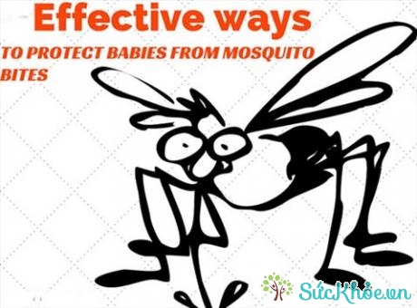 Muỗi sinh sống trong nước đọng nên giữ vệ sinh môi trường sống là cách phòng ngừa lâu dài (Ảnh: Internet)