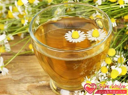 Trà hoa cúc cũng như trà xanh, chứa nhiều chất chống oxy hóa