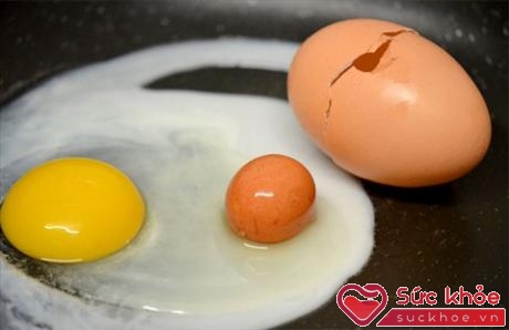 Lòng đỏ quyết định giá trị dinh dưỡng của quả trứng gà