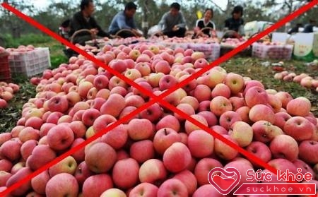 Chúng ta đang vô tình ăn hoa quả độc hại từ Trung Quốc mà không biết
