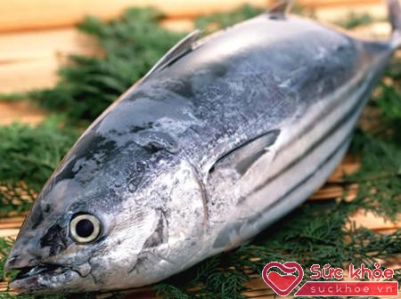 Cá ngừ đại dương là loại hải sản thơm ngon, chứa các chất dinh dưỡng thiết yếu