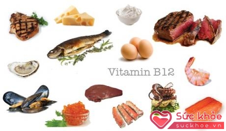 Thức ăn giàu vitamin B12.