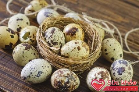 Bổ sung trứng cút vào chế độ dinh dưỡng sẽ giúp bạn nâng cao sức khỏe