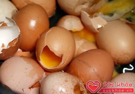 Hàm lượng chất Fipronil có trong trứng gia cầm dù không gây nguy cơ nhiễm độc mạnh ngay lập tức