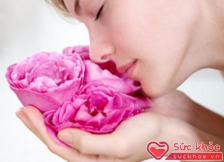 Hoa hồng không chỉ được biết đến là loại hoa tượng trưng cho tình yêu mà còn được dùng làm dược liệu, đặc biệt trong làm đẹp