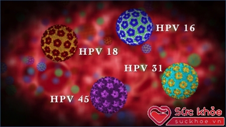 Virus HPV lây truyền qua đường tình dục là nguyên nhân gây ung thư miệng