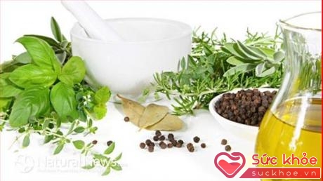 Nhiều tinh dầu tự nhiên giúp ngăn ngừa ung thư hiệu quả.