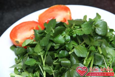 Một ngày ăn khoảng 10 - 15g cải xoong là có thể đảm bảo đủ lượng i-ốt, giúp cơ thể chống được bệnh còi xương, bệnh béo phì...