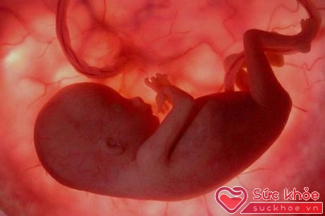 Theo dõi chiều dài, cân nặng của thai nhi định kỳ sẽ giúp bác sĩ phát hiện bé có đang bị suy dinh dưỡng bào thai hay không.