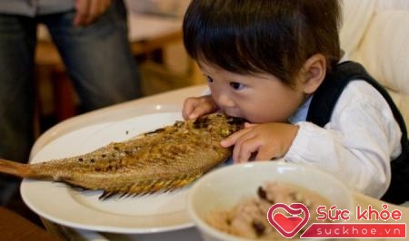 Hóc xương cá là vấn đề thường gặp khi ăn uống, đặc biệt ở trẻ nhỏ