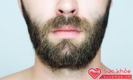 Nhiều nghiên cứu đã chỉ ra rằng, một chàng trai sở hữu bộ râu càng rậm rạp bao nhiêu thì mức độ nam tính của anh ta trong cảm nhận của nữ giới càng cao bấy nhiêu
