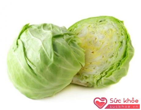 Bắp cải là một thực phẩm chứa ít calo và dồi dào chất chống oxy hóa và vitamin C, cùng với vitamin K – khoáng chất chống đông máu