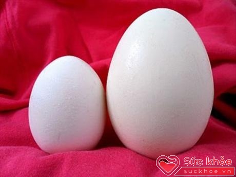 Trứng ngỗng không phải cứ to hơn là giàu dinh dưỡng hơn trứng gà