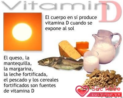 Vitamin D và canxi có vai trò quan trọng trong quá trình hình thành, phát triển xương và răng