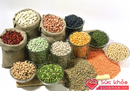 Ngũ cốc được hiểu rộng là các loại hạt, cây lương thực nên có hơn 300 loại khác nha