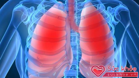 Cả dứa và bưởi đều giàu chất chống oxy hóa tự nhiên giúp cải thiện hệ thống hô hấp