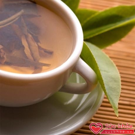 Hợp chất polyphenol trong trà xanh có thể ngăn cản sự phát triển của vi khuẩn hôi miệng