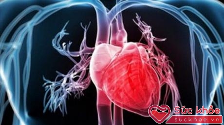 Các PPI có thể ảnh hưởng đến tim mạch.