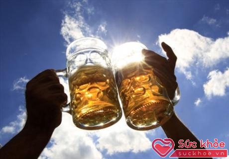 Khi bạn uống bia, phần lớn chất cồn vào cơ thể sẽ được gan chuyển đổi thành năng lượng, các chất khác đều bài xuất khỏi cơ thể 