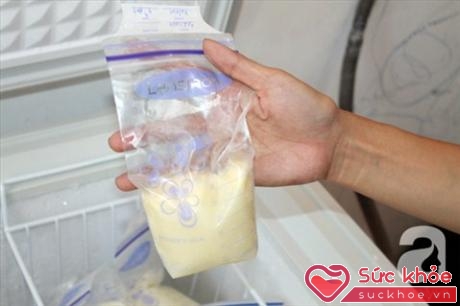 Phương pháp vắt sữa trữ đông để dành cho con bú đang được nhiều bà mẹ lựa chọn.