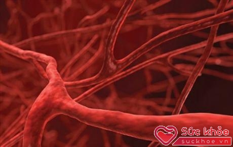 Các mạch máu giãn nở nhiều hơn khi quan hệ tình dục. Ảnh: Prevention.