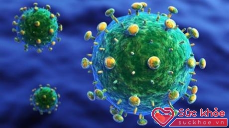 BNA là một protein có khả năng trung hòa nhiều chủng vi-rút HIV cùng lúc (Ảnh minh họa: Internet)