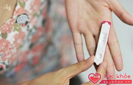 Que thử thai nhanh dựa trên lượng HCG trong nước tiểu để cho biết người phụ nữ đã thụ thai hay chưa 