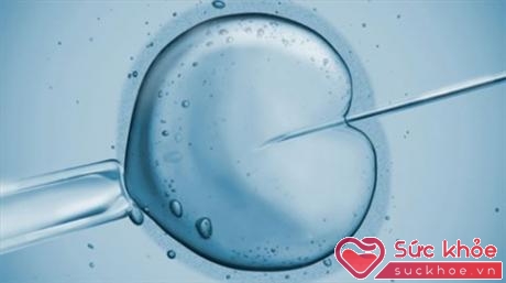 Các chuyên gia sức khỏe lại khuyên bạn nên thận trọng trước tuyên bố về việc có thể làm trẻ hóa trứng để tăng cường khả năng sinh sản (Ảnh minh họa)