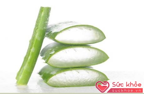 Chất gel ở lá cây Nha đam có tác dụng làm giảm khó chịu, giúp da chóng liền và giữ ẩm cho da