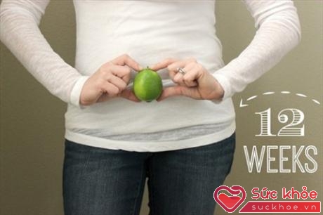 Ở tuần thai thứ 12, em bé đã lớn và có kích thước giống một quả chanh