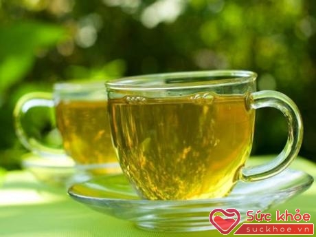 Uống trà xanh giúp giảm nguy cơ bệnh tim mạch, ung thư